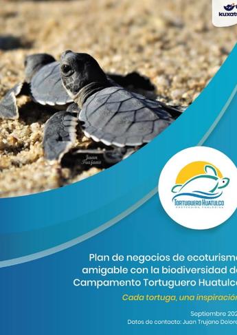 Brochure cover showing two sea turtles on a sandy beach, with blue swoosh design and circular logo.