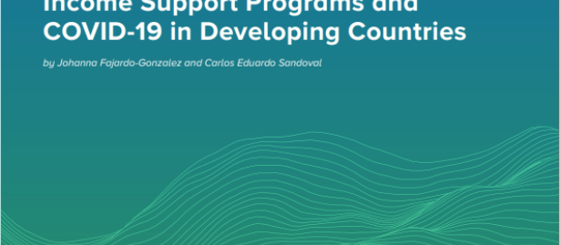 UNDP-DFS-Income-Support-Programs-and-COVID-19-in-Developing-Countries-COVER.PNG