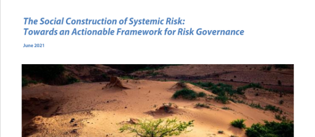 UNDP-Social-Construction-of-Systemic-Risk-Towards-an-Actionable-Framework-for-Risk-Governance-COVER.PNG