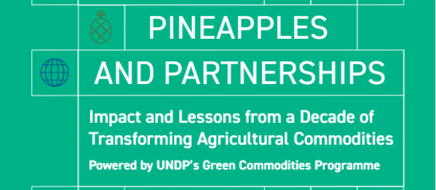 UNDP-Palm-Oil-Pineapples-and-Partnerships-Impact-and Lessons-from-a-Decade-of-Transforming-Agricultural-Commodities-COVER2_1.PNG