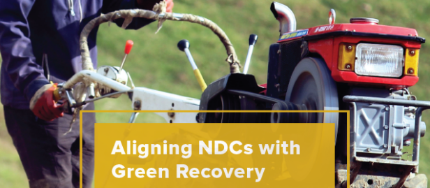 UNDP-Aligning-NDCs-with-Green-Recovery-COVER.png