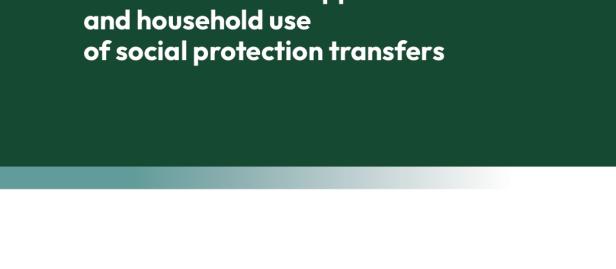 Evaluation on the approach and household use of social protection transfers
