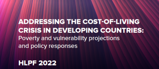 Forside af ny UNDP report "Adressing the cost-of-living crisis in developing countries"