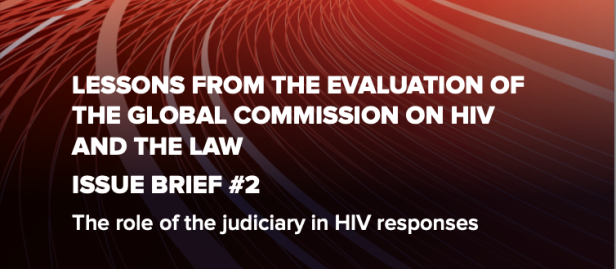 Issue Brief #2. Role of the judiciary in HIV responses Cover Image