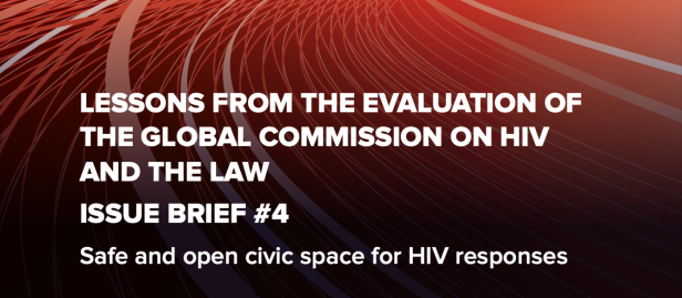 Issue Brief #4: Ensuring safe and open civic space Cover Image