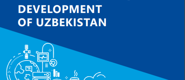 Human capacity in the field of digital development of Uzbekistan