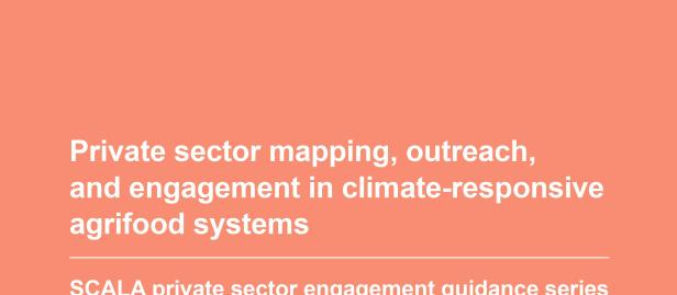 Private Sector Mapping, Outreach and Engagement Planning for Climate Action