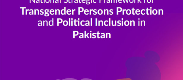 gender inequality in pakistan research paper