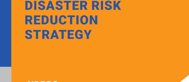 The National Disaster Risk Reduction Strategy