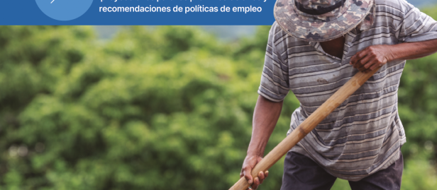 Publicación: Mercado laboral en Guatemala