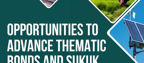Opportunities to Advance Thematic Bonds and Sukuk in INDONESIA
