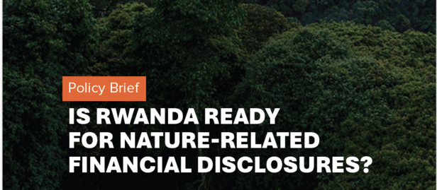 Rwanda nature-related financial disclosures report cover with forest backdrop and logos.