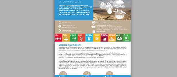 Homepage mockup with blue header and multicolored navigation blocks.