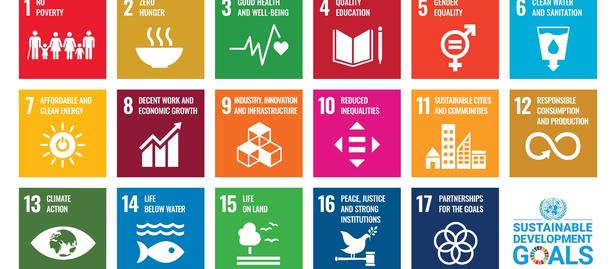 Grid of 17 colorful tiles representing the United Nations Sustainable Development Goals.