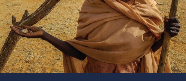 UNEP-genderreport-cover.jpg