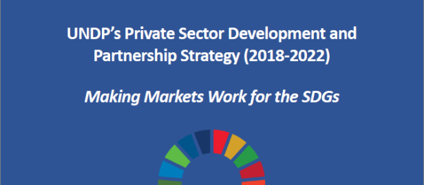 undp-Private_Sector_Strategy_COVER.PNG