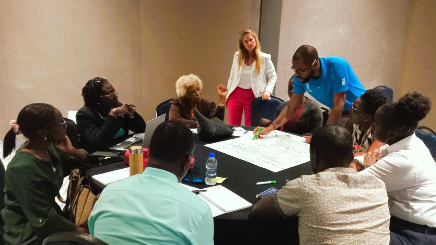 UNDP Accelerator Lab facilitates Digital Transformation Visioning