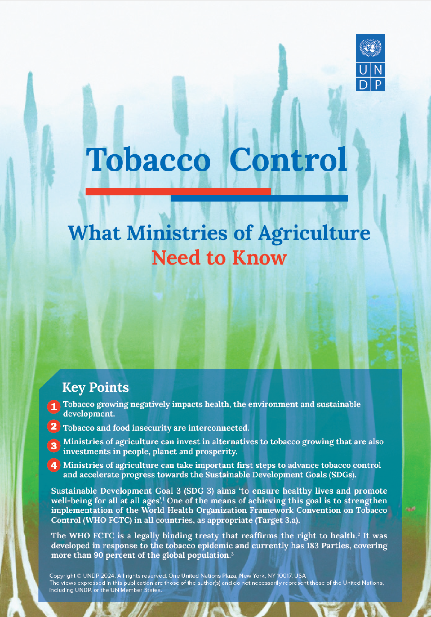 where can i buy tobacco in spain THE BEST 5 Tobacco Shops in Spain (Updated June 2026)