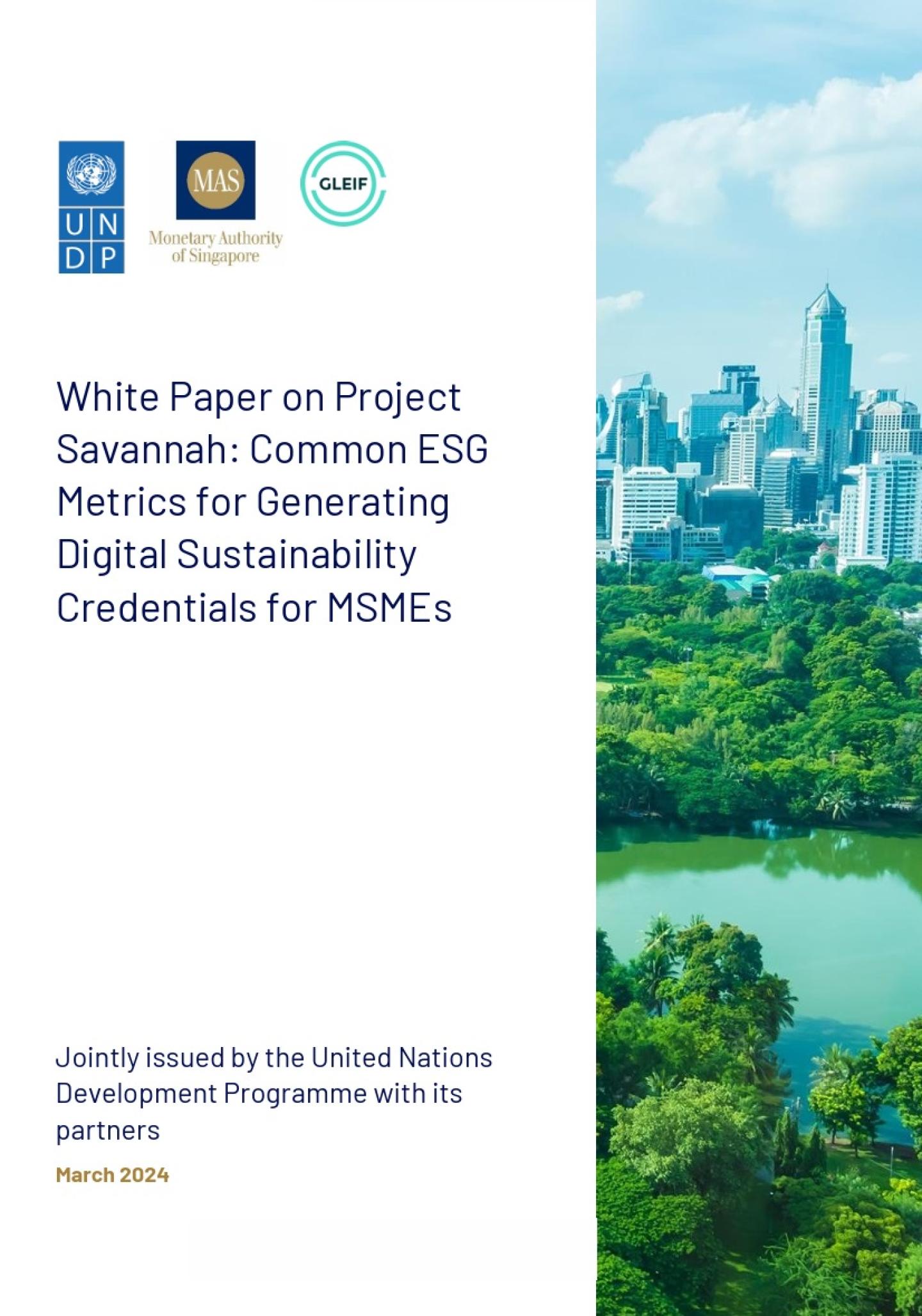 White Paper on Project Savannah: Common ESG Metrics for Generating Digital  Sustainability Credentials for MSMEs | United Nations Development Programme