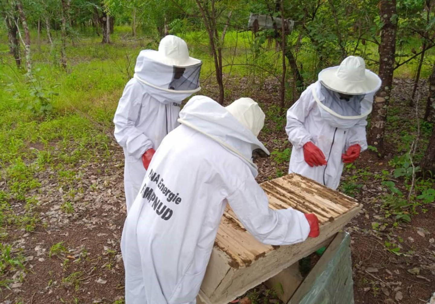 Vente de matériel apiculture-Chorfa -Bouira