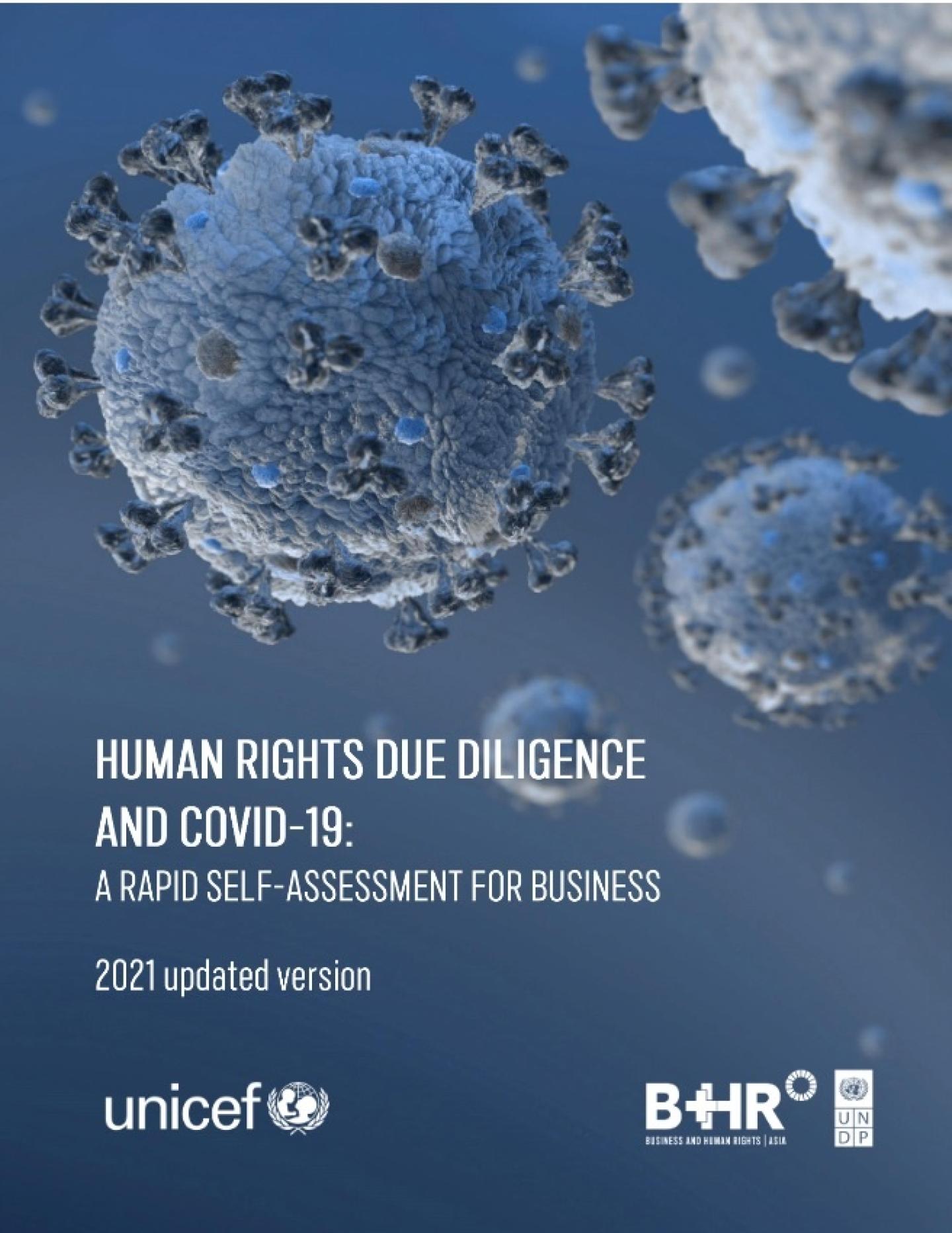 Human Rights Due Diligence and COVID-19: Rapid Self-Assessment for