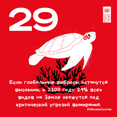 Red poster with a large white '29', a white turtle illustration, and Russian text about species at risk.