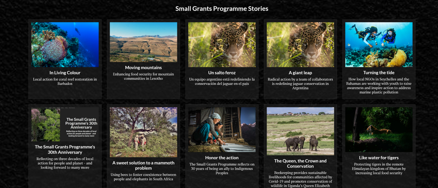gef sgp collection of stories