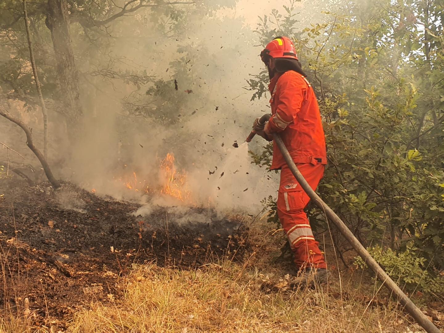 Firefighters fighting forest fires in Albania     
