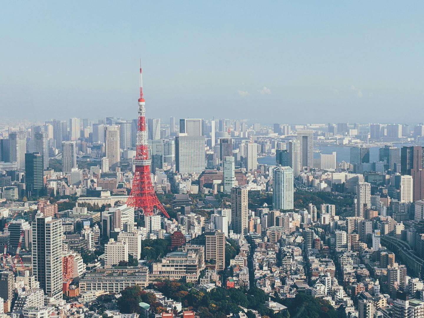 Tokyo Tower and the city of Tokyo