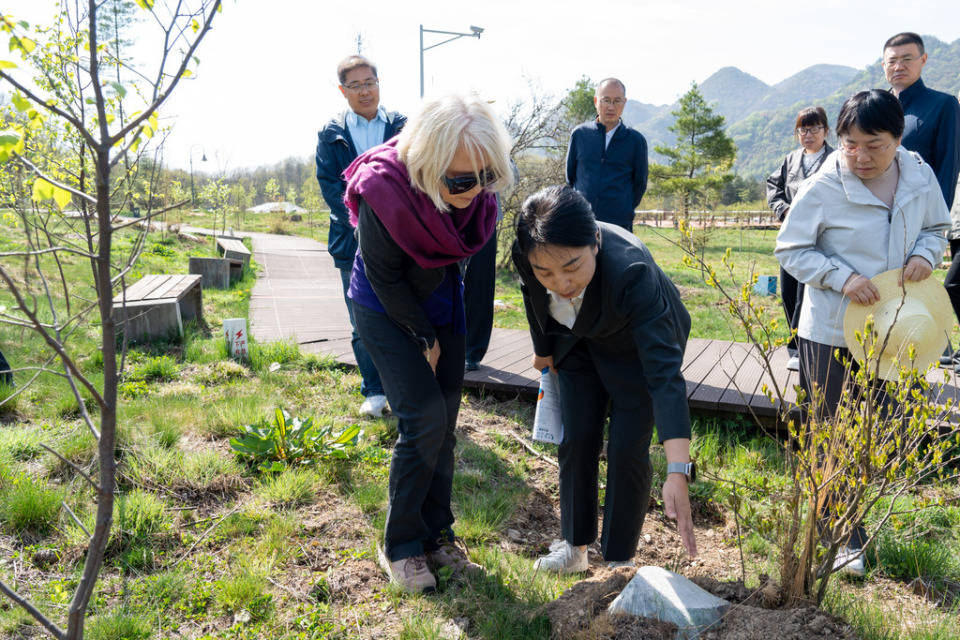 Two women examine a planting site, surrounded by greenery and trees, with others in the background.