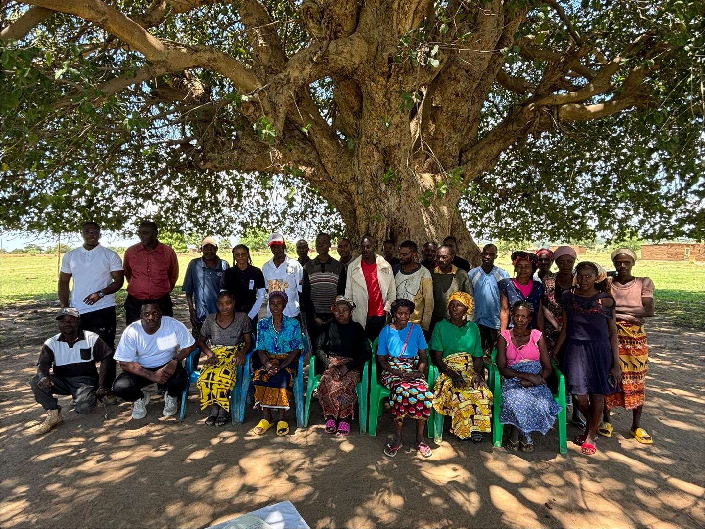Group of people smiling, posing under a large tree in a sunny field.