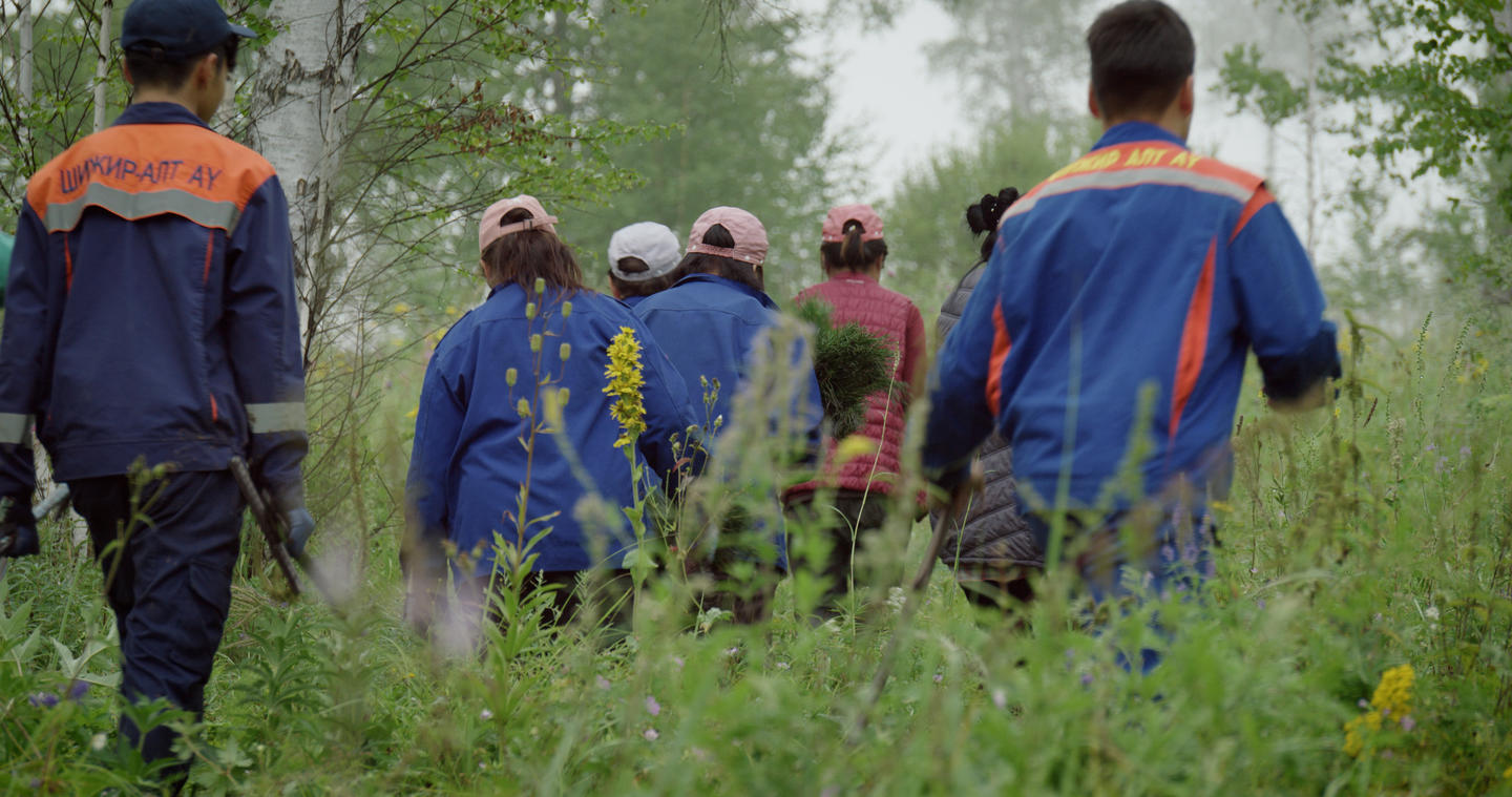 Group of people in blue and orange jackets walking away through tall grass in a forest.