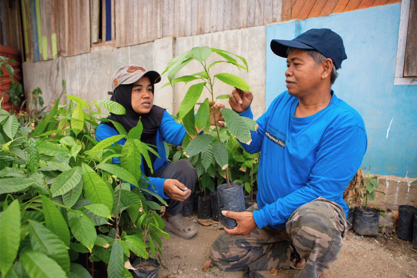 Two people in blue shirts tend potted plants beside a blue wall.