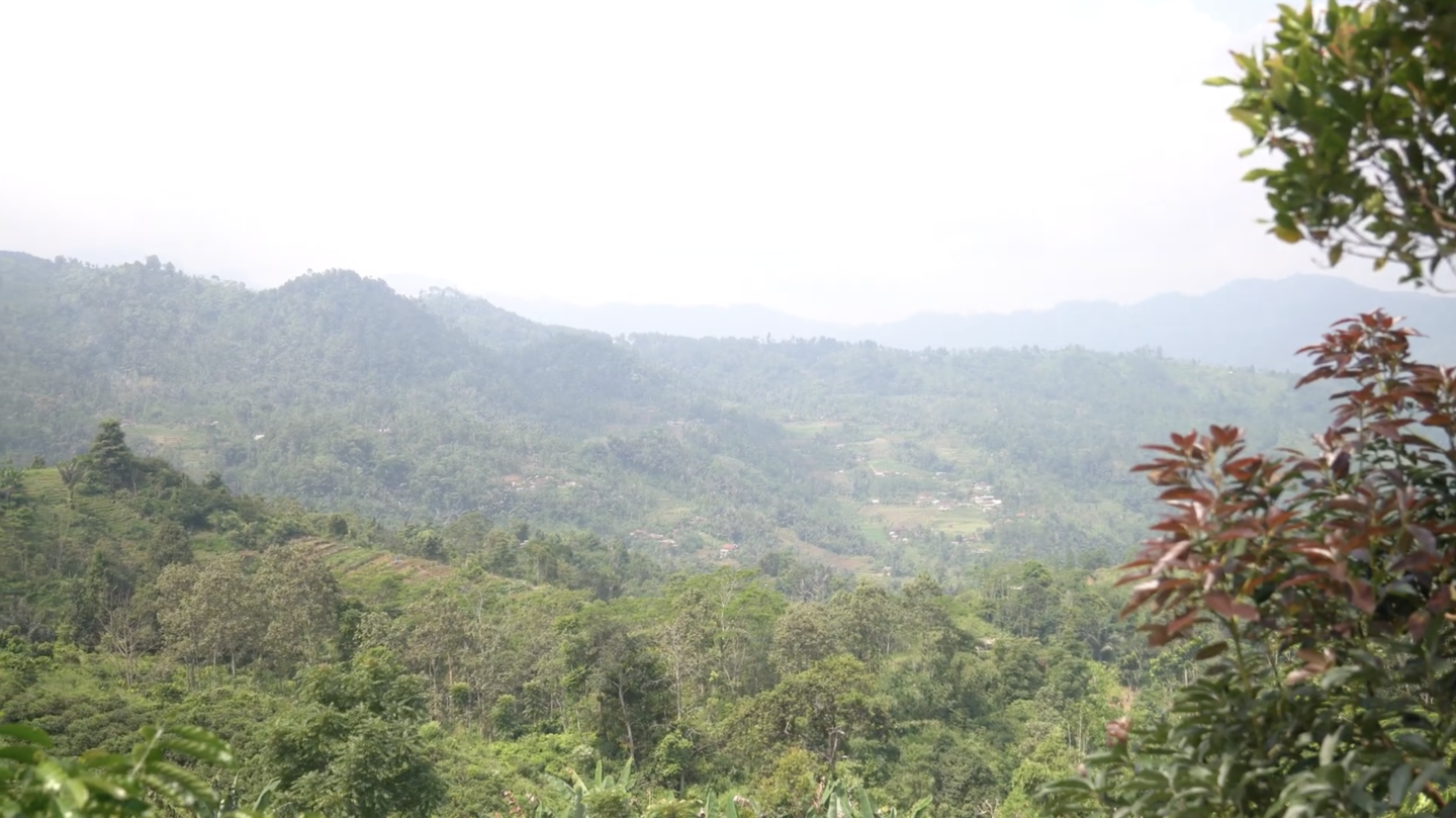 Photograph of rolling green hills and distant mountains with trees in the foreground.